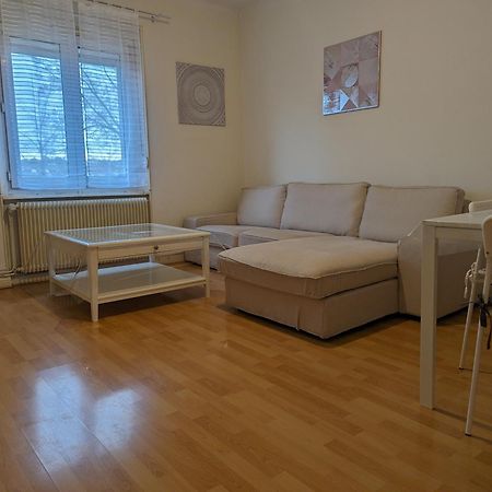 Le Balois - Appartement 2 Chambres, Salon, Cuisine Equipee, Parking Et Wifi Gratuit Мюлуз Екстер'єр фото