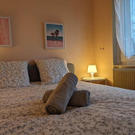 Le Balois - Appartement 2 Chambres, Salon, Cuisine Equipee, Parking Et Wifi Gratuit Мюлуз Екстер'єр фото