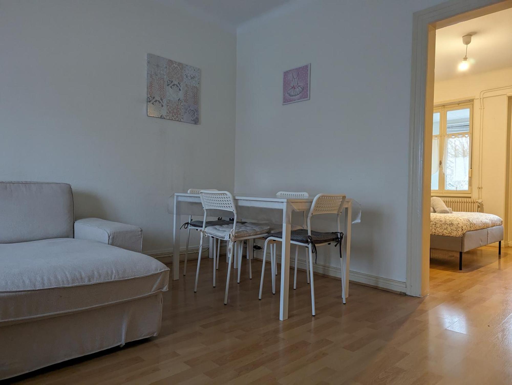 Le Balois - Appartement 2 Chambres, Salon, Cuisine Equipee, Parking Et Wifi Gratuit Мюлуз Екстер'єр фото