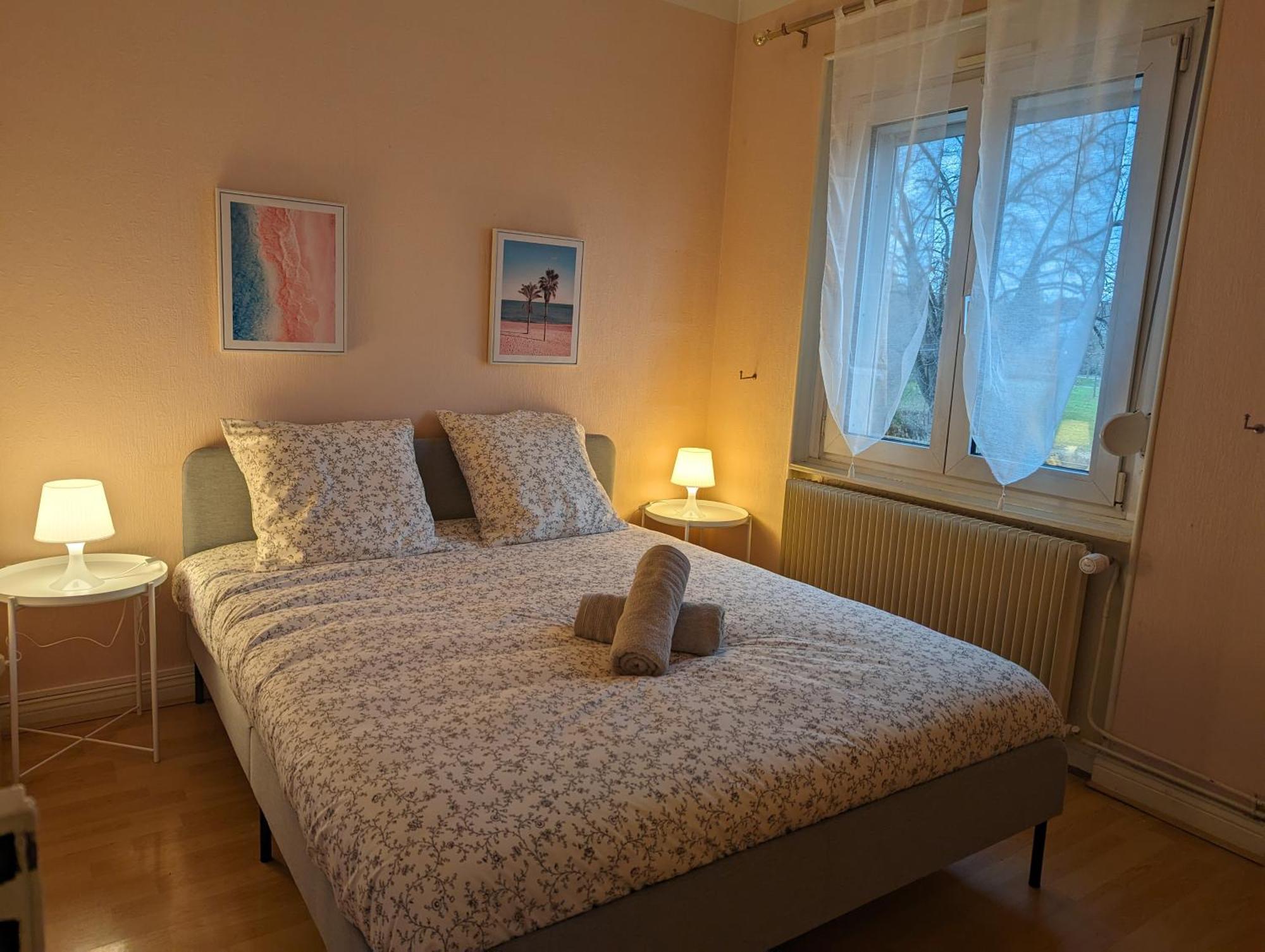 Le Balois - Appartement 2 Chambres, Salon, Cuisine Equipee, Parking Et Wifi Gratuit Мюлуз Екстер'єр фото