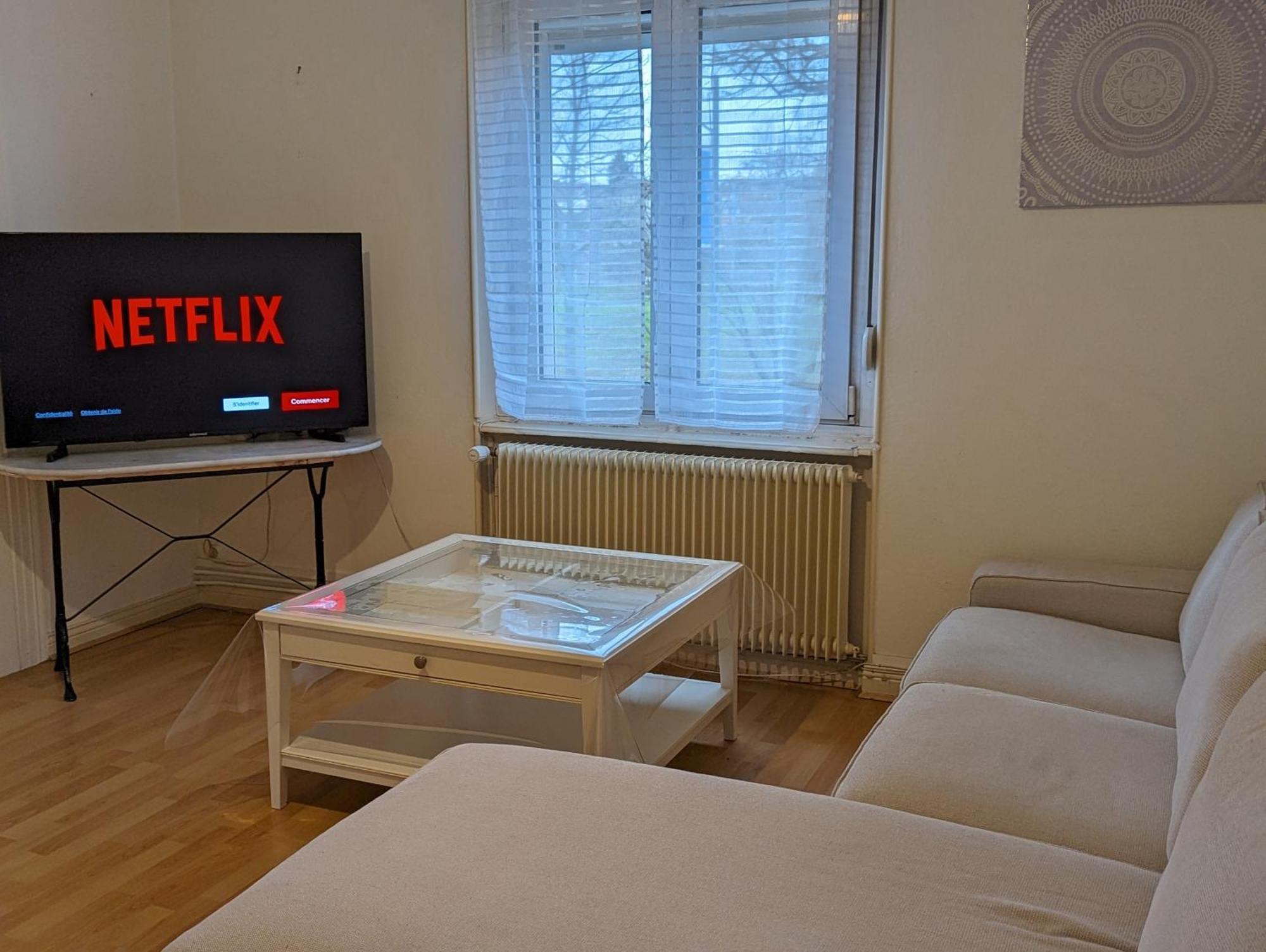 Le Balois - Appartement 2 Chambres, Salon, Cuisine Equipee, Parking Et Wifi Gratuit Мюлуз Екстер'єр фото