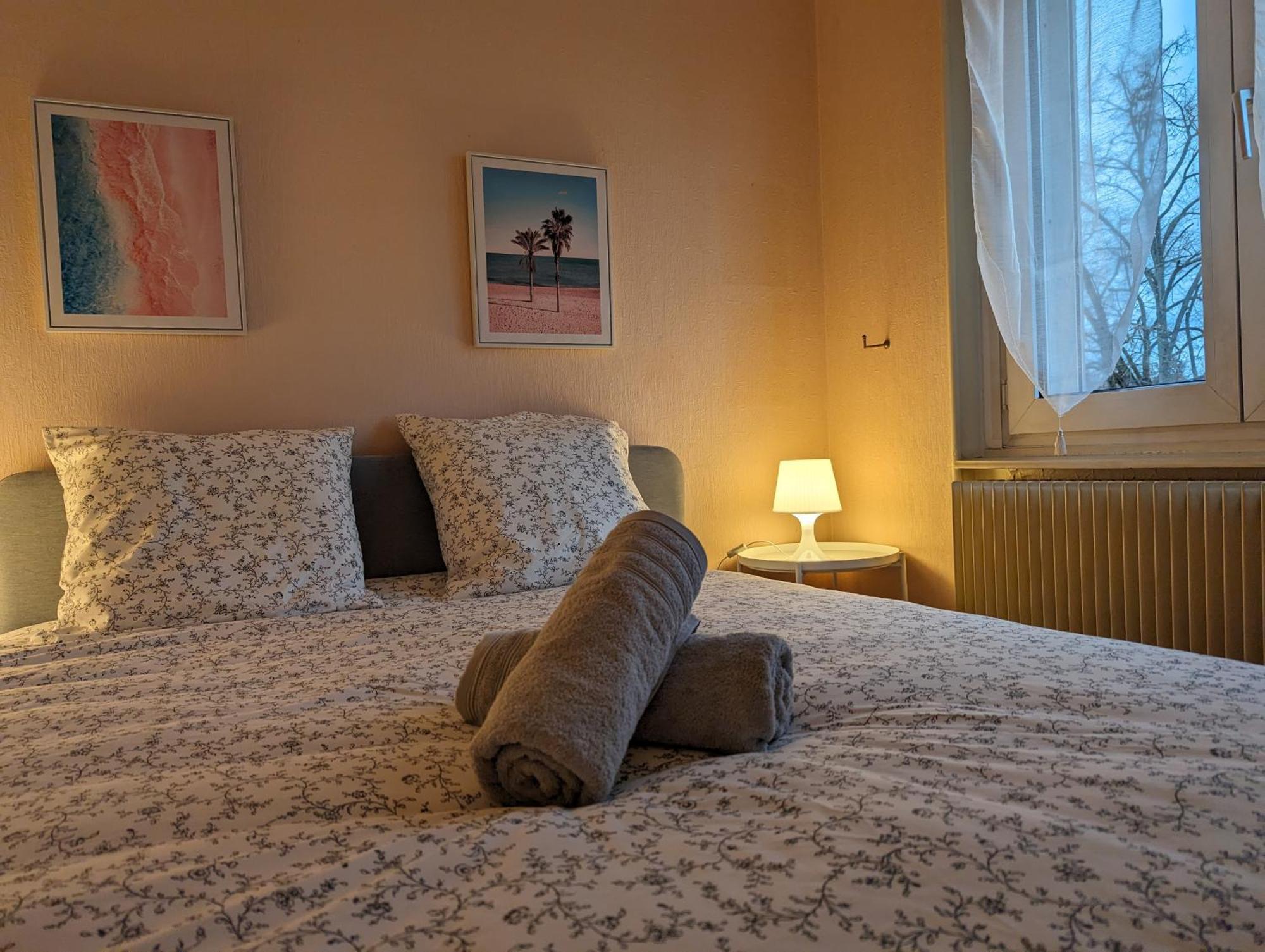 Le Balois - Appartement 2 Chambres, Salon, Cuisine Equipee, Parking Et Wifi Gratuit Мюлуз Екстер'єр фото
